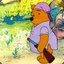 Winnie the Pooh