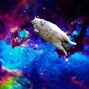 Космоеблан