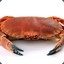 CRAB