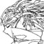 ForWashuu