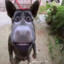 BUTENKOOO PEEK floy