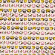 ЩасКакДамНогой..