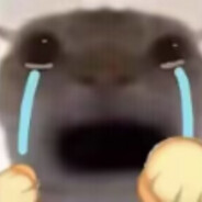 勇敢小羊，享受世界