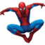 Gironetic Spider