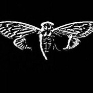 CICADA 3301
