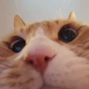 Мяу