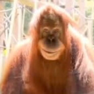 МАГА ГЛАВНЫЙ - steam id 76561199275631133