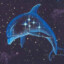 Cosmic Dolphin