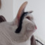 ponzkiii