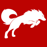 w0lff_ - steam id 76561197963619469
