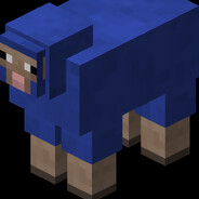 Blue Sheep