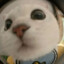 guyueyue