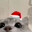 Meng