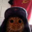 tomy