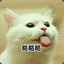 对面开G的别不承认