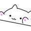 Bongo Cat