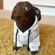 Findog