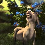 niebieski kwiat i kolce