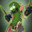 ☣PICKLE RICK☣