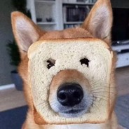 你好像梁志超他奶