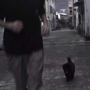 我不是安培为什么喷子能两枪带走我