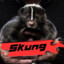 SkungDaSpeedSK