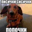 Тима проказница