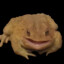 bambamcameyzmay