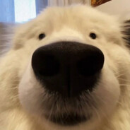 来个老八大憨包