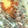 Rooster