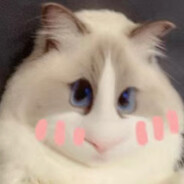 NiaowangZzz