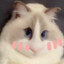 NiaowangZzz