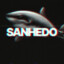 Sanhedo