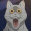 m1l1s(cat)