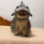 Fat Philbert