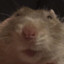 Wurrtrat