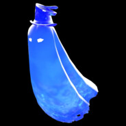 Sole_Survivor