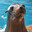 Thalassios Liontaris