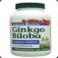 GINKGO BILOBA