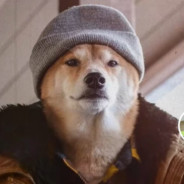 sy白给带师窝嫩叠