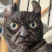 STATIC.BONER avatar