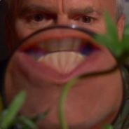 not gangleider - steam id 76561197962048789