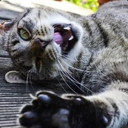 要我给你鼓鼓掌么