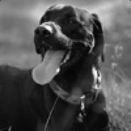 -:]TDM[:-.Spike_DK - steam id 76561197961879003