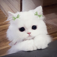 jhfdyhdsjvcisme8