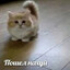 КентМаминойПодруги