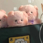 专业打桩，包出水