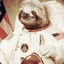 Astro Sloth