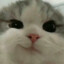 KOerbtw