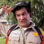 DaOfficerDoofy